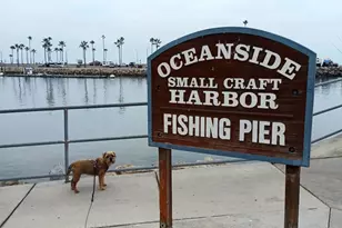 1202 N Pacifice Street, Oceanside, CA 92054 - Photo 22