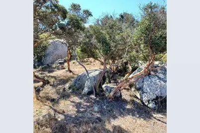 27623 Cougar Pass Road, Escondido, CA 92026 - Photo 12