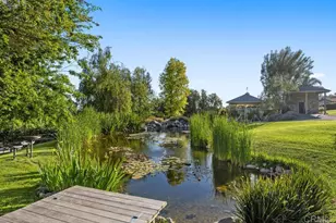 3192 Los Alisos Dr, Fallbrook, CA 92028 - Photo 44