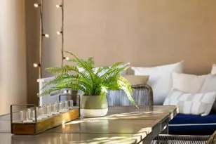 939 Bluejack Rd, Encinitas, CA 92024 - Photo 10