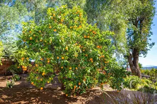 1402 Rimrock Dr, Escondido, CA 92027 - Photo 16