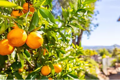 1402 Rimrock Drive, Escondido, CA 92027 - Photo 20