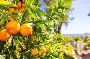 1402 Rimrock Dr, Escondido, CA 92027 - Photo 20