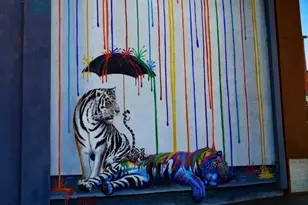 2563 State St, Carlsbad, CA 92008 - Photo 52