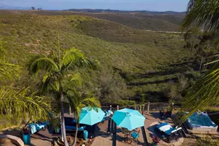 10737 Birch Bluff Ave, San Diego, CA 92131 - Photo 42