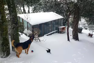 2855 Heliotrope Dr, Julian, CA 92036 - Photo 28