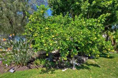 574 Golf Glen, San Marcos, CA 92069 - Photo 54