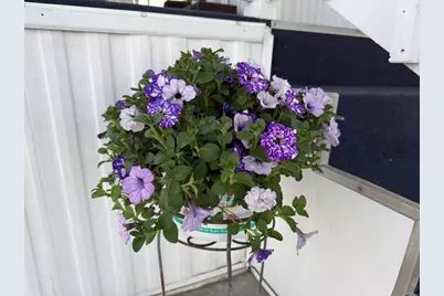 200 N El Camino Real #149, Oceanside, CA 92058 - Photo 32