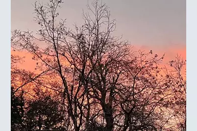 22209 Crestline Road, Palomar Mountain, CA 92060 - Photo 40