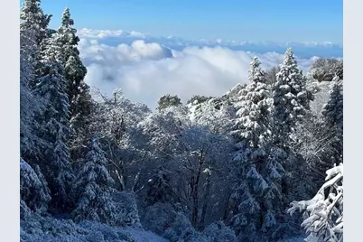 22209 Crestline Road, Palomar Mountain, CA 92060 - Photo 42