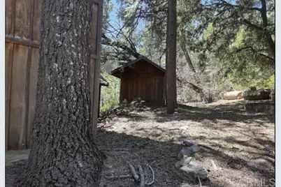 22021 Crestline Road, Palomar Mountain, CA 92060 - Photo 8