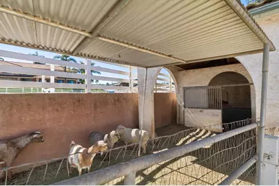 29950 Robbie Ln, Vista, CA 92084 - Photo 44