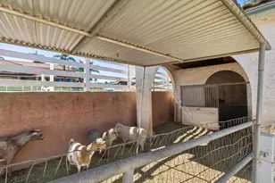 29950 Robbie Ln, Vista, CA 92084 - Photo 44