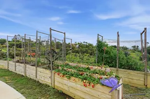 3600 Linda Vista Dr, Fallbrook, CA 92028 - Photo 48