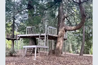 3413 Fern Meadow Road, Palomar Mountain, CA 92060 - Photo 40