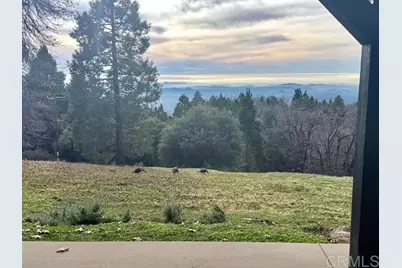 3413 Fern Meadow Road, Palomar Mountain, CA 92060 - Photo 30
