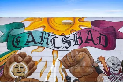 3379 Roosevelt St. Street, Carlsbad, CA 92008 - Photo 32