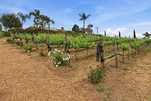 1655 Colina, Fallbrook, CA 92028 - Photo 48