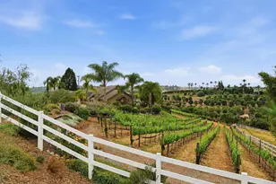 1655 Colina, Fallbrook, CA 92028 - Photo 46