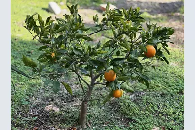 1451 Machado Street, Oceanside, CA 92054 - Photo 32