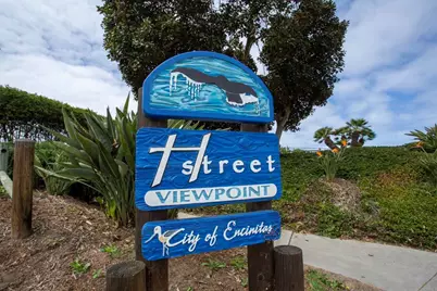 922 Sealane Drive #B, Encinitas, CA 92024 - Photo 28