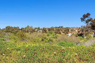 7104 Lantana, Carlsbad, CA 92011 - Photo 32