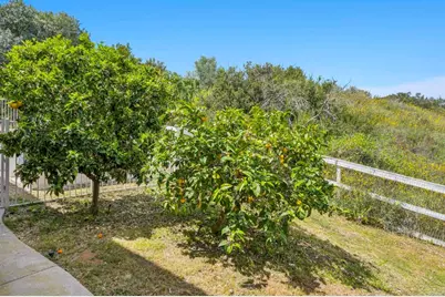 970 Dove Run Rd, Encinitas, CA 92024 - Photo 38