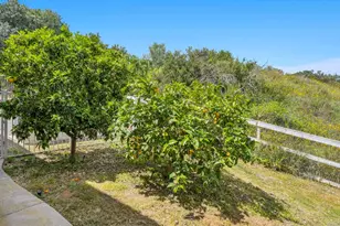 970 Dove Run Rd, Encinitas, CA 92024 - Photo 38