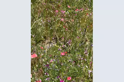 25770 E Grade Road, Santa Ysabel, CA 92070 - Photo 72