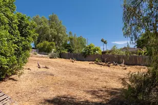 210 S Orange, Fallbrook, CA 92028 - Photo 54