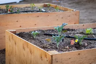 3611 Tierra De Dios, Escondido, CA 92025 - Photo 48