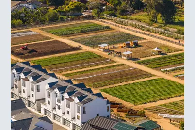 1044 Palmaria Court, Encinitas, CA 92024 - Photo 64