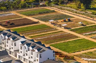 1044 Palmaria Ct, Encinitas, CA 92024 - Photo 64