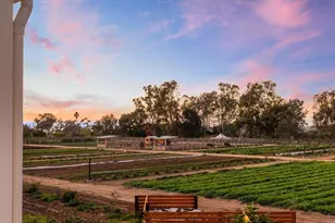 1044 Palmaria Ct, Encinitas, CA 92024 - Photo 44