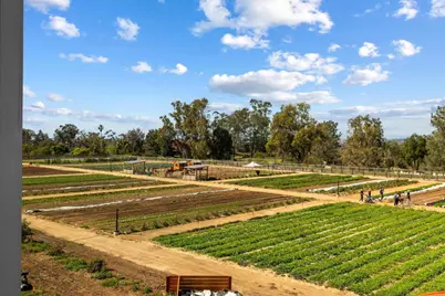 1044 Palmaria Court, Encinitas, CA 92024 - Photo 60