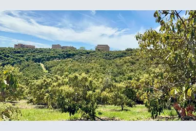 0 Via Puerta Del Sol, Bonsall, CA 92003 - Photo 44