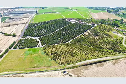 0 Via Puerta Del Sol, Bonsall, CA 92003 - Photo 22