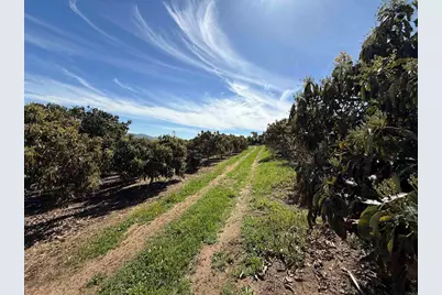 0 Via Puerta Del Sol, Bonsall, CA 92003 - Photo 14