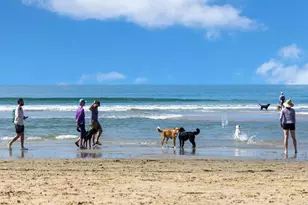 2522 Thyme Wy, Carlsbad, CA 92008 - Photo 20