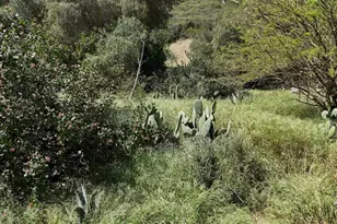 9237 Harmony Grove, Escondido, CA 92029 - Photo 46