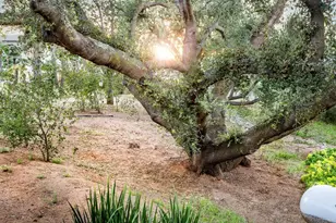 30349 30351 Cool Valley Ln, Valley Center, CA 92082 - Photo 6