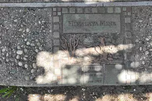 28843 Angel Mountain Rd, Santa Ysabel, CA 92070 - Photo 1