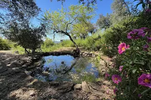 28843 Angel Mountain Rd, Santa Ysabel, CA 92070 - Photo 24