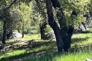 28843 Angel Mountain Rd, Santa Ysabel, CA 92070 - Photo 38