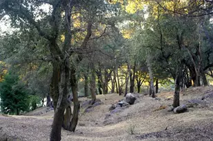 28843 Angel Mountain Rd, Santa Ysabel, CA 92070 - Photo 32