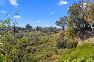 1645 Noma Ln, Encinitas, CA 92024 - Photo 46