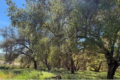 26940 Paradise Meadow Lane, Valley Center, CA 92082 - Photo 64