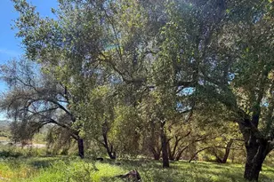 26940 Paradise Meadow Ln, Valley Center, CA 92082 - Photo 64