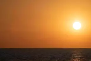 1602 S Pacfic Street, Oceanside, CA 92054 - Photo 28