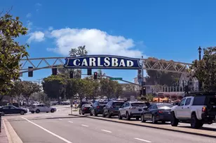 2541 Delphinium Ln, Carlsbad, CA 92008 - Photo 40